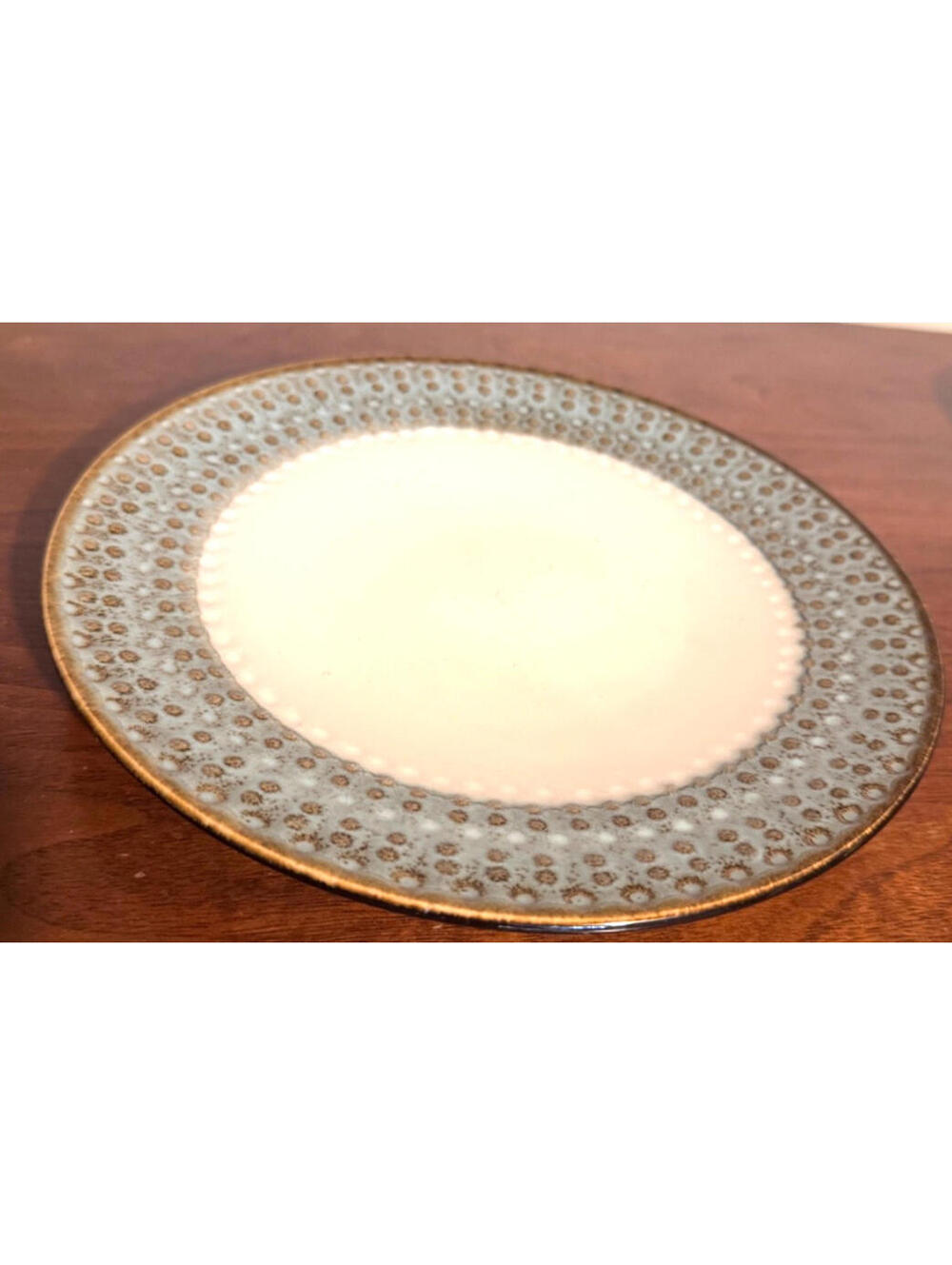 Pier 1 Imports Allison Stoneware Luncheon Plates 9.5" Blue Brown Dots